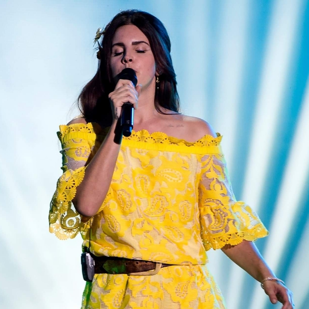 SOLD Lana Del Rey top - Picture 2 of 7